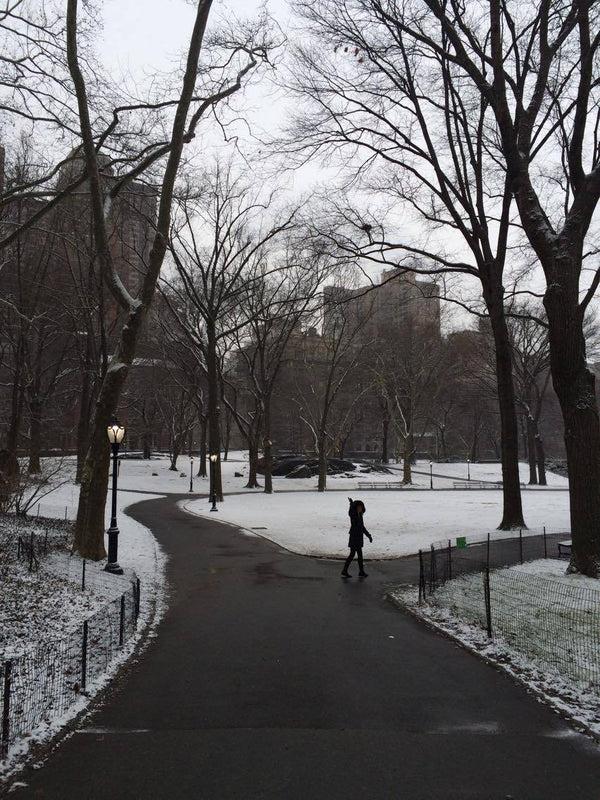 Around the World in 28 Days.